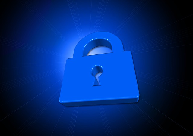 Free castle privacy policy security illustration