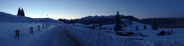 Free Alps Alm photo and picture