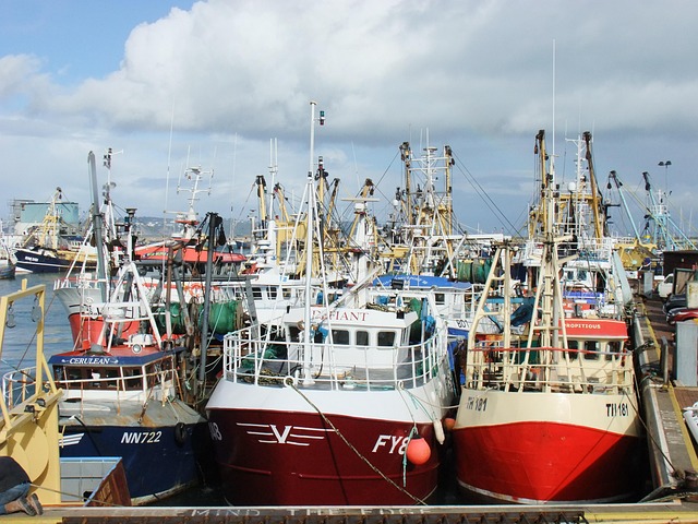 Trawler, Brixham, Devon, Fiskeri