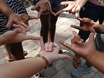 hands, sign language, circle