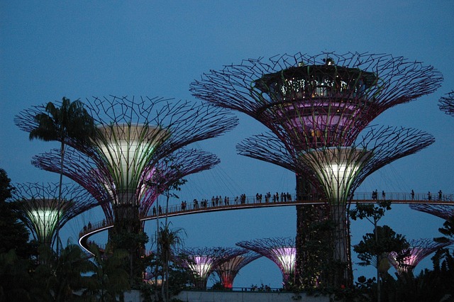 Free Singapore Gardens Attraction photo and picture