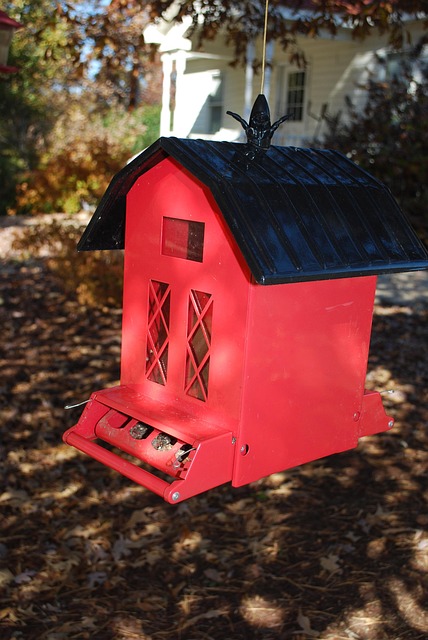 Free Bird House Barn photo and picture