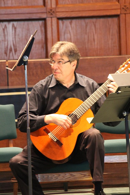 Muziek, Gitaar, Instrument, Concert