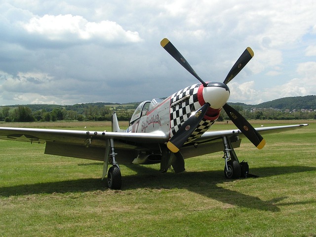 Free Plane Mustang photo and picture