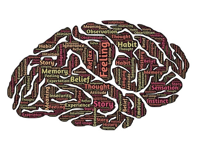 Download free HD stock image of Brain Mind Free brain mind mindset illustration