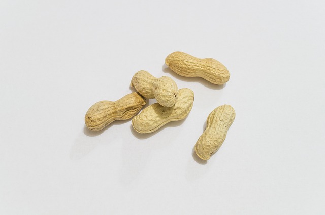 Free Peanuts Aperitif photo and picture