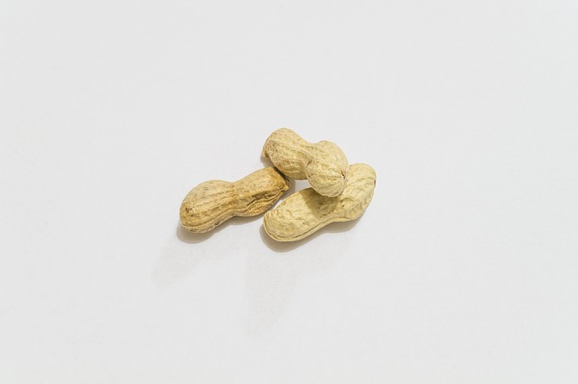 Free Peanuts Aperitif photo and picture