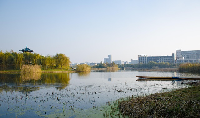 Free Lake University photo and picture
