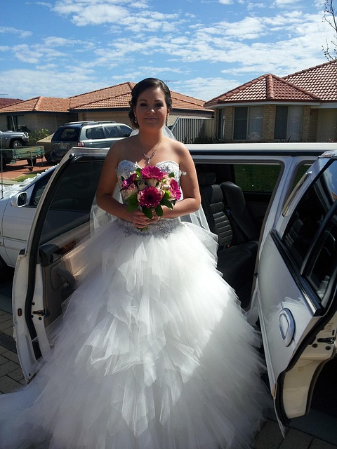 Free Wedding Dress photo and picture