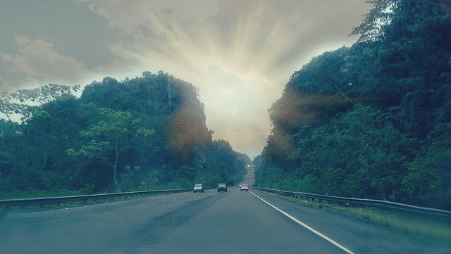 Free Road Street photo and picture