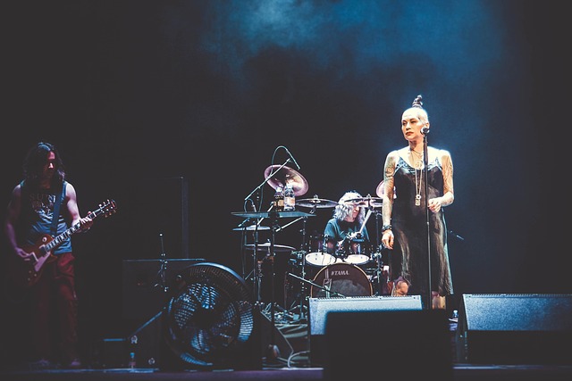 Zpěvák, Koncert, Skála, Rusko, Kytara