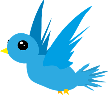 Free Bird Animal illustration and picture