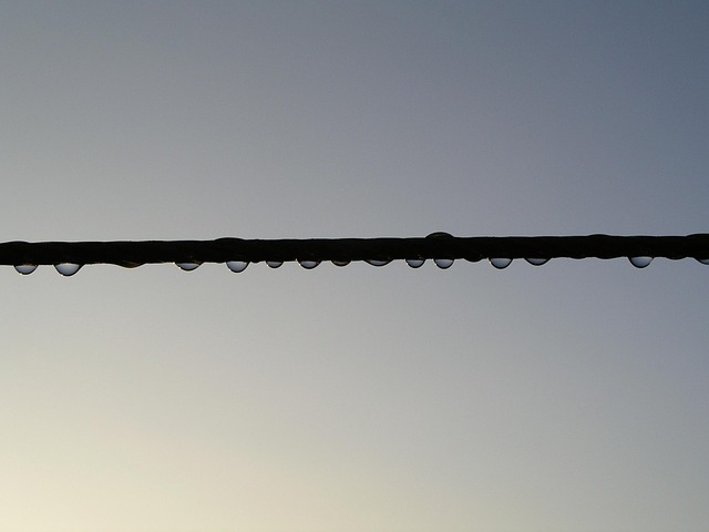 Dawn, Drops, Lijn, Dauw, De Lente