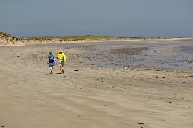 Free Nature Beach photo and picture