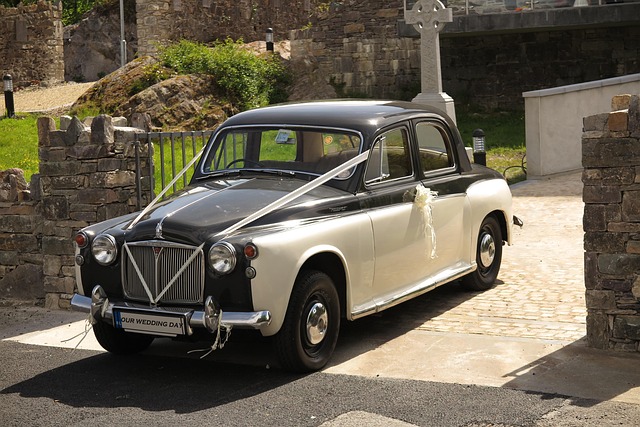 Free Rover Wedding photo and picture
