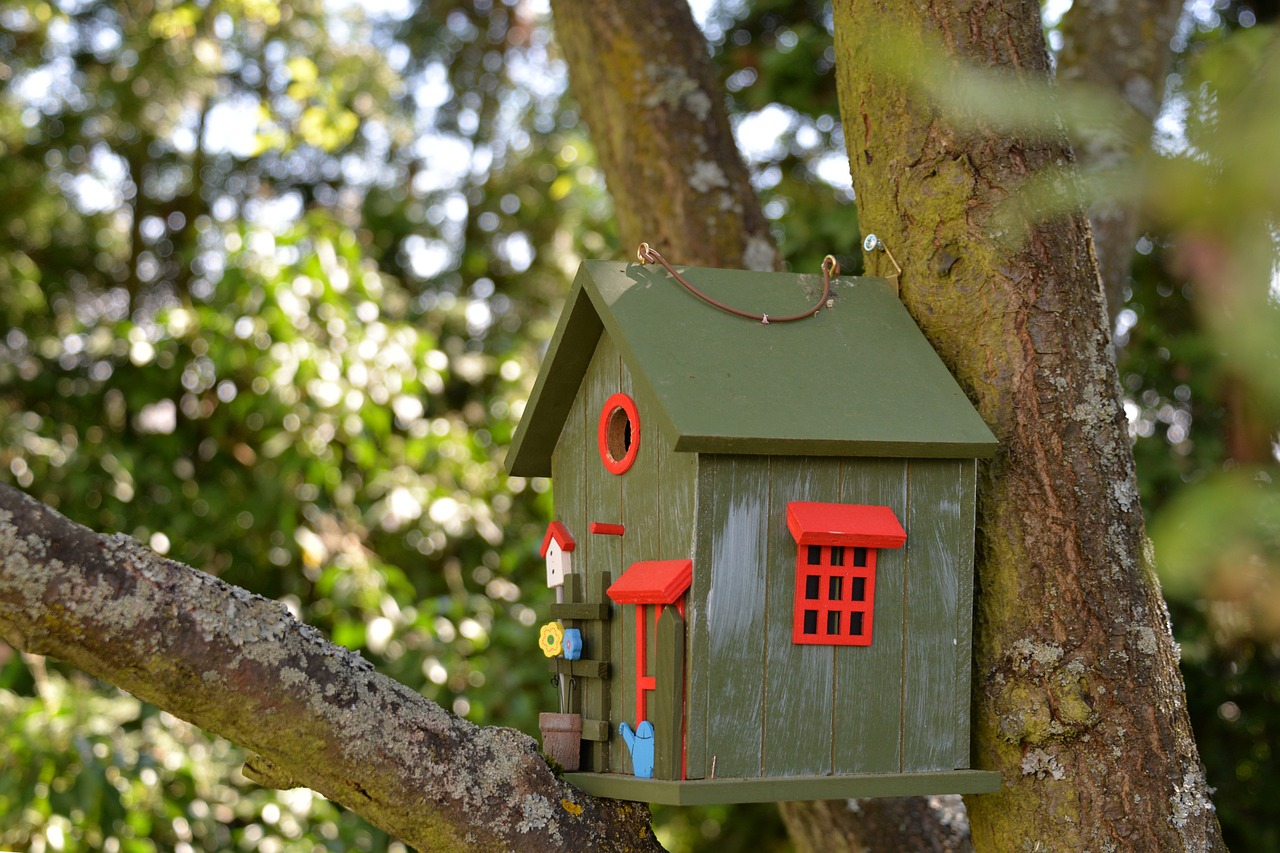 Bird House - free online jigsaw puzzle photo