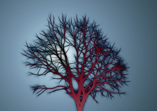 Download free HD stock image of Tree Bald Free tree bald abstract illustration