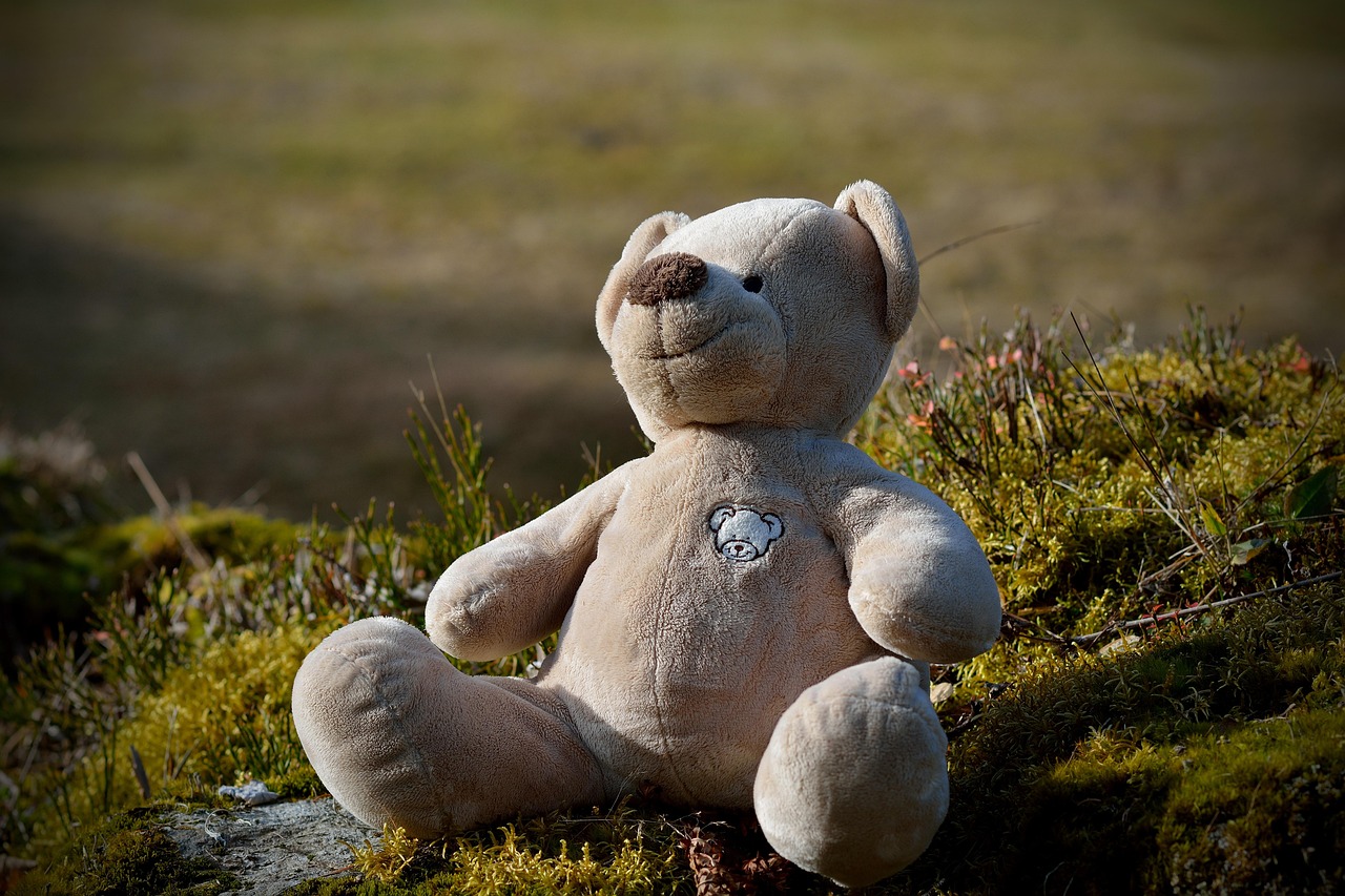 Teddy Bear Cuddly Toy Stuffed - Free photo on Pixabay - Pixabay