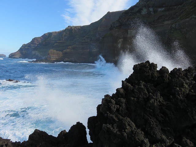Free Wave Surf photo and picture