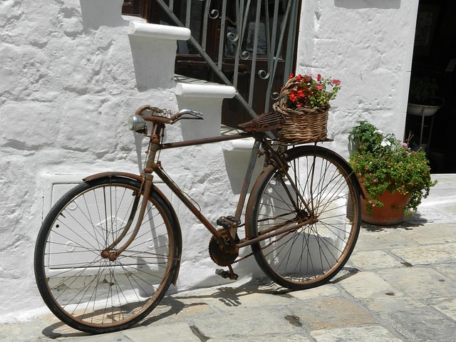 Free Bike Bicycle photo and picture