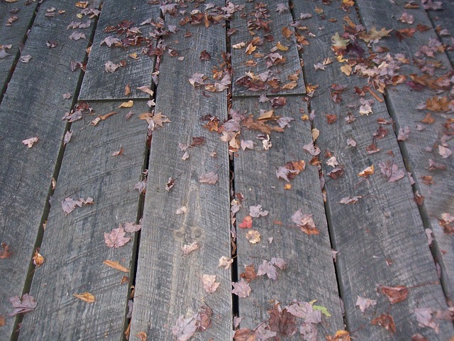 Free Boardwalk Weathered photo and picture