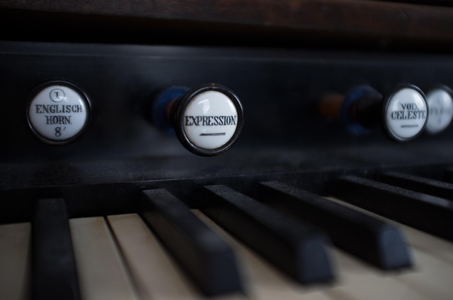 Free Harmonium Organ photo and picture