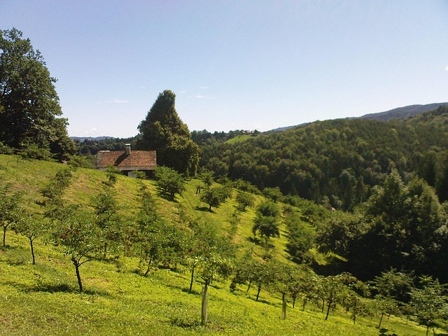 Wiese, Hügellandschaft, Österreich