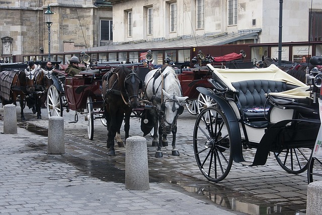Free Vienna Horse-Drawn Carriages photo and picture