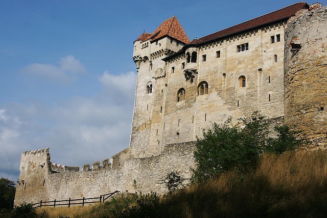 Free Liechtenstein Castle photo and picture