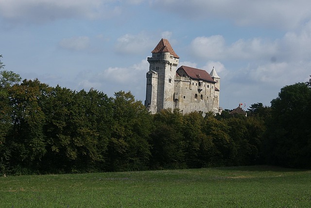 Free Liechtenstein Castle photo and picture