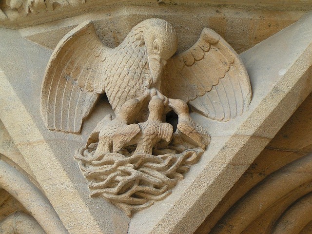 Free Metz Cathedral photo and picture