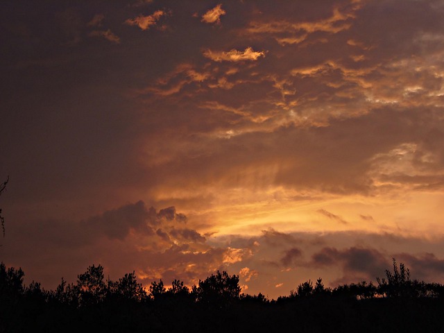 Free Sunset Reddish photo and picture