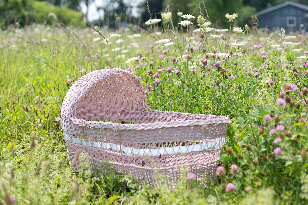 Baby Pink · Free photo on Pixabay