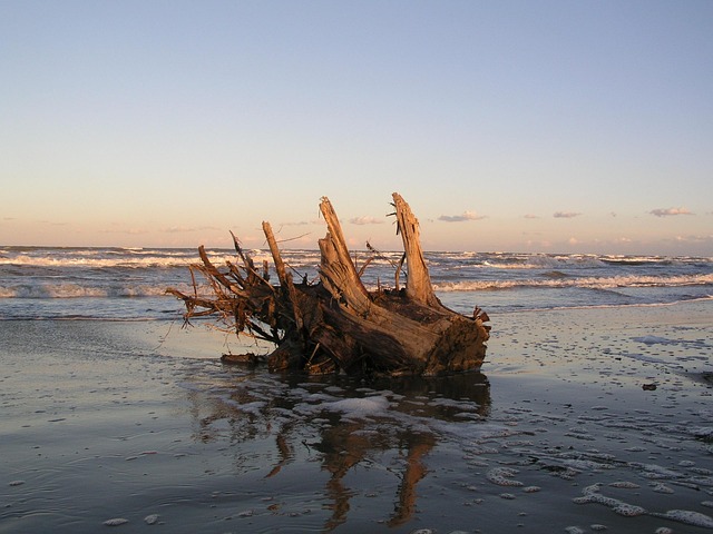 Kofferbak, Zee, Zomer, Strand, Rimini