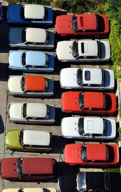 Free Parking Spot Park photo and picture