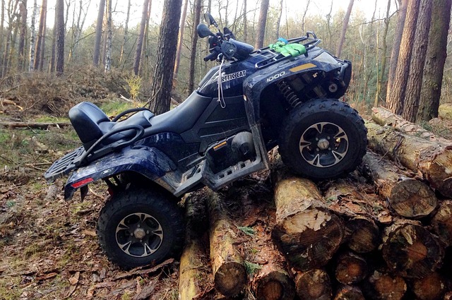 Quadrângulo, Atv, Gato Ártico, Floresta