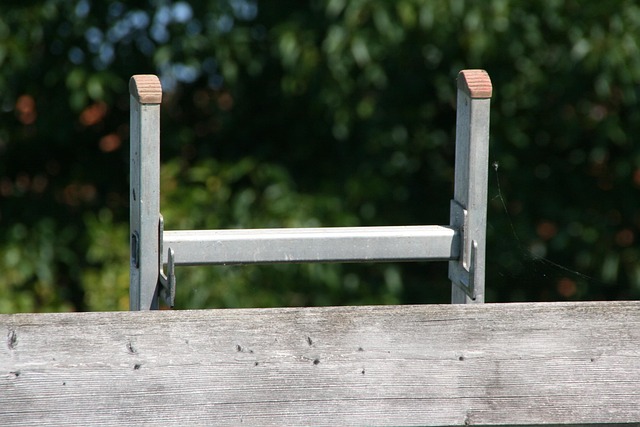 Free Driver Ladder photo and picture