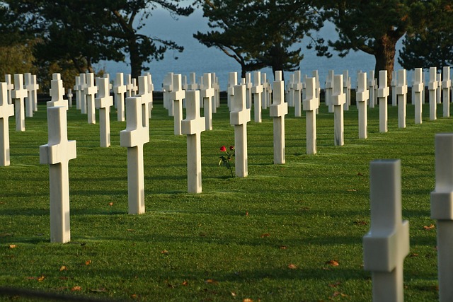 Free France Normandy photo and picture