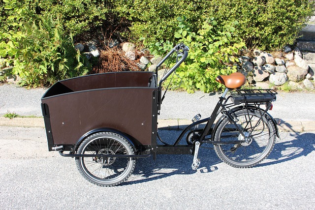 Boxbike, Elektrisch, Fahrrad