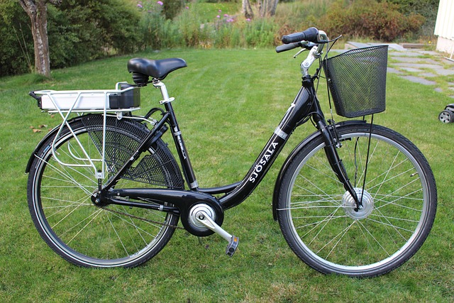 Elektrisch, Damcykel, Korb