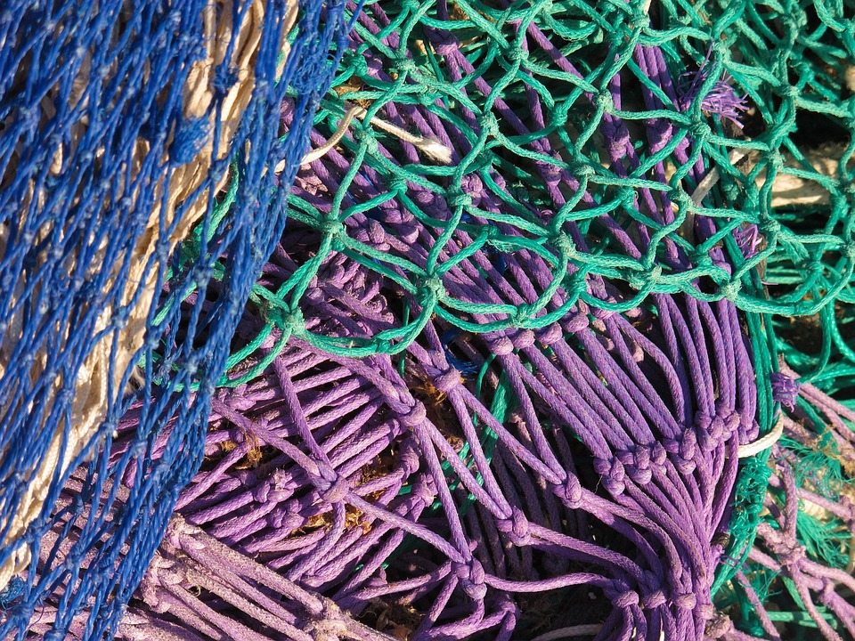 Panfish Paradise: A Beginner’s Guide to Catching the Most Colorful Fish