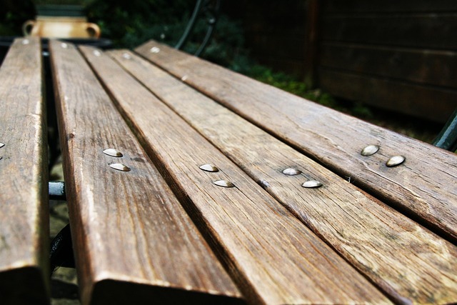 Free Bench Drink photo and picture