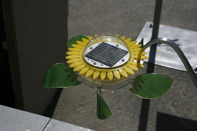 Free Panel Solar photo and picture