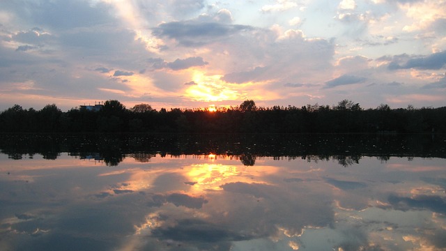 Free Reflection Forest photo and picture