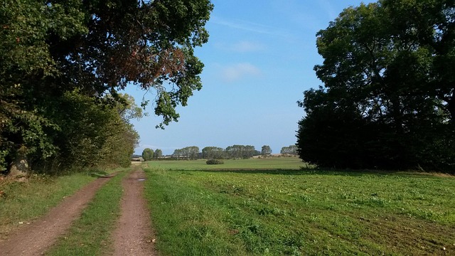 Free Landscape Nyborg photo and picture