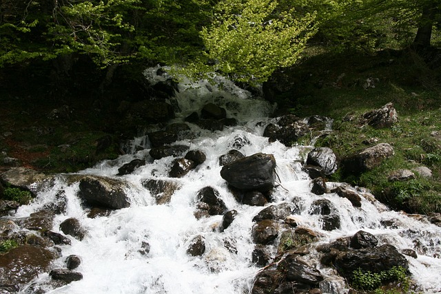 Free Cascade Nature photo and picture