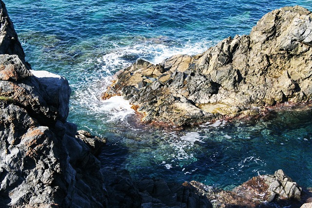Free Nature Landscape photo and picture