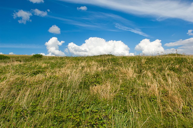 Free Sky Clouds photo and picture