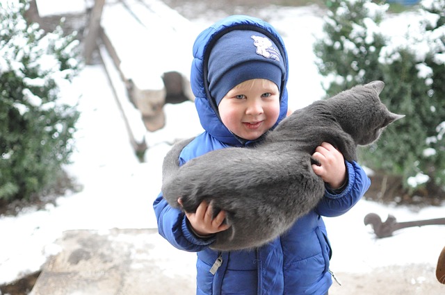 Free Small Child Kitten photo and picture