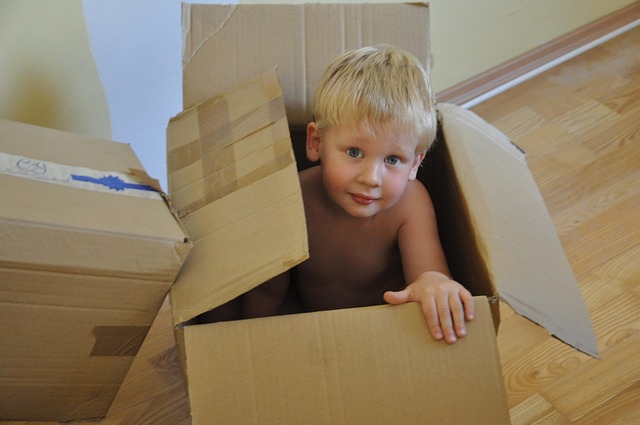 Free Child Boy photo and picture